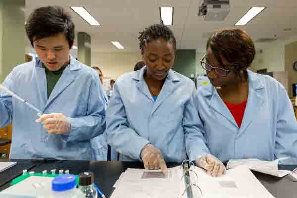 Lab Assistants working